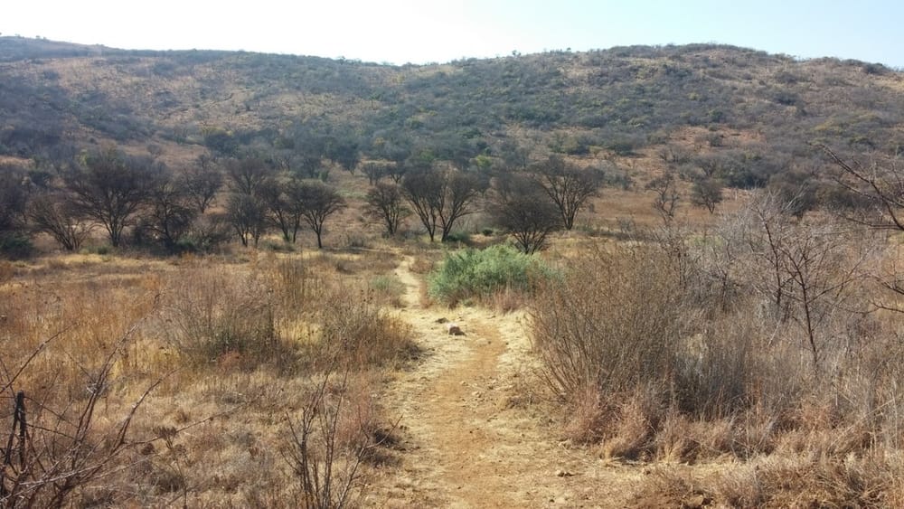 Klipriviersberg, easy Sunday morning