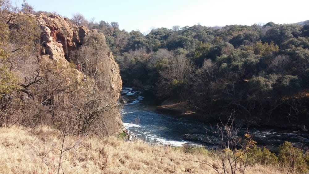 Top five trails in Gauteng