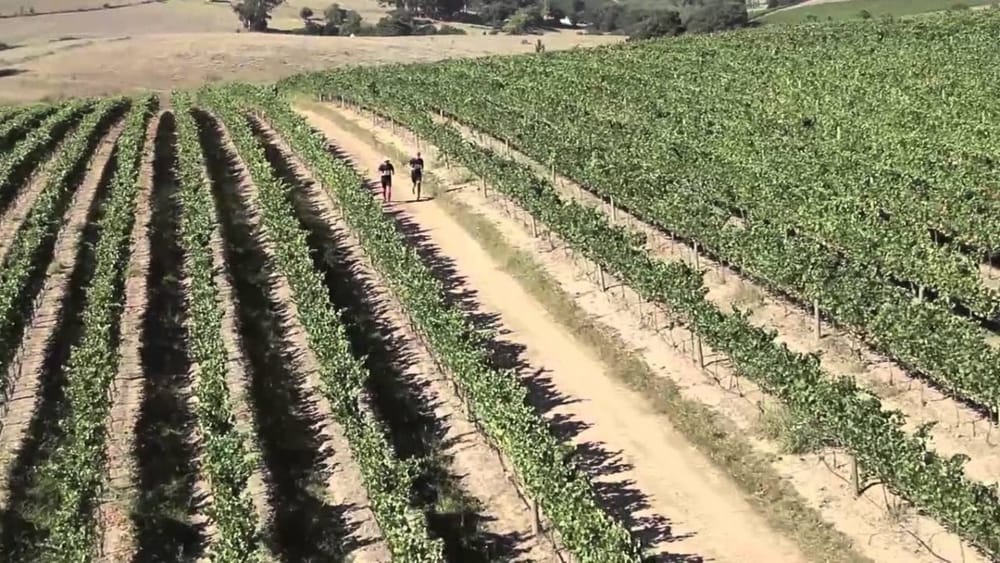 ProNutro Run The AfricanX 2015