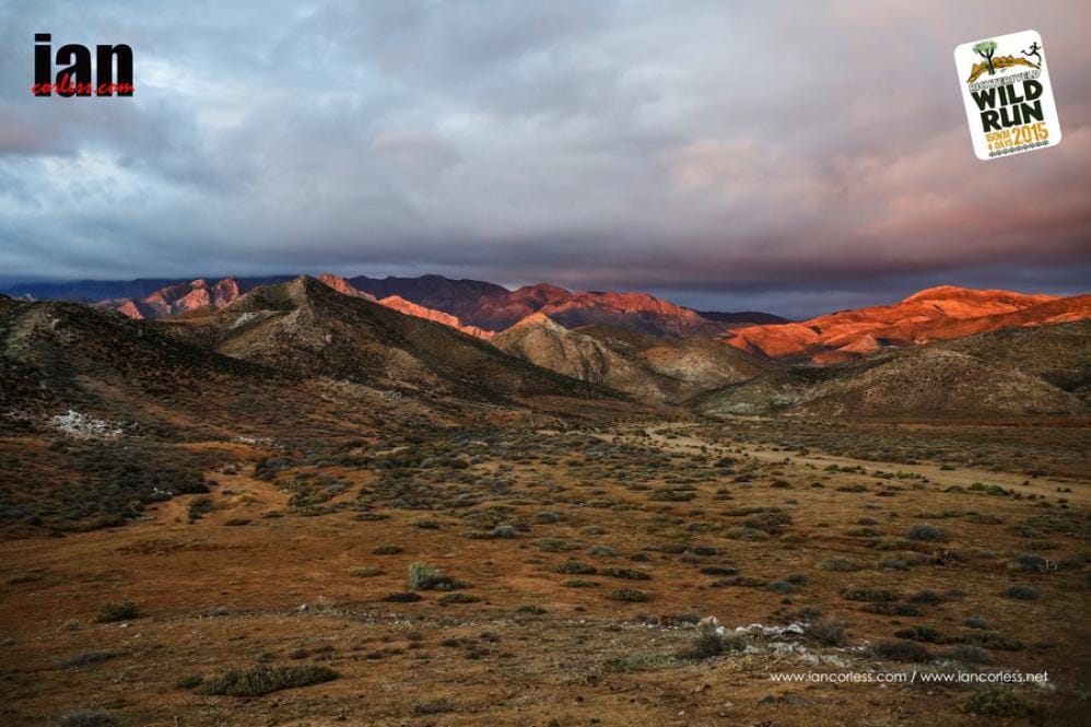 Richtersveld Wildrun 2015 - Results