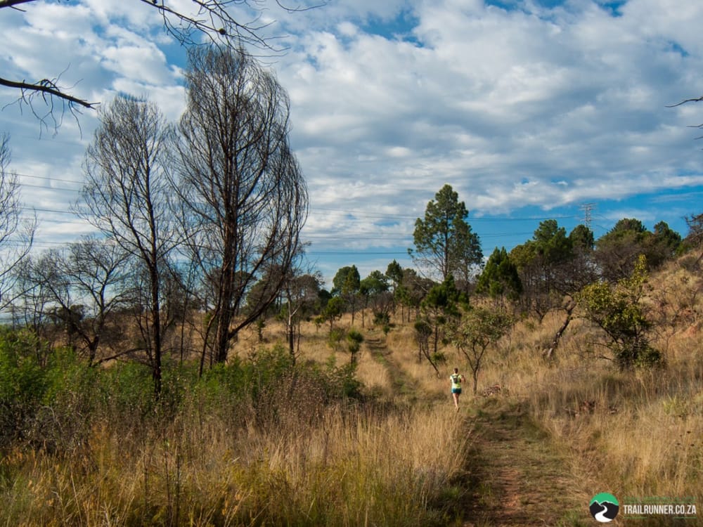 Hedianga Double The Beast