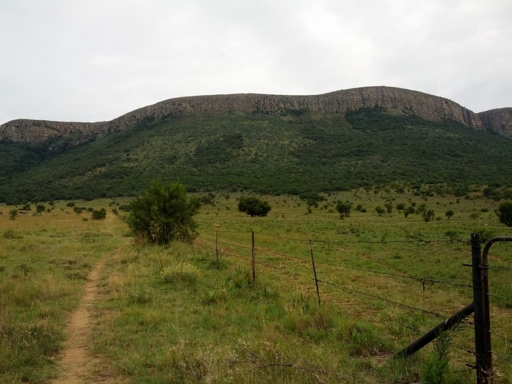 Oom Piet, Van Gaalen's Cheese Farm