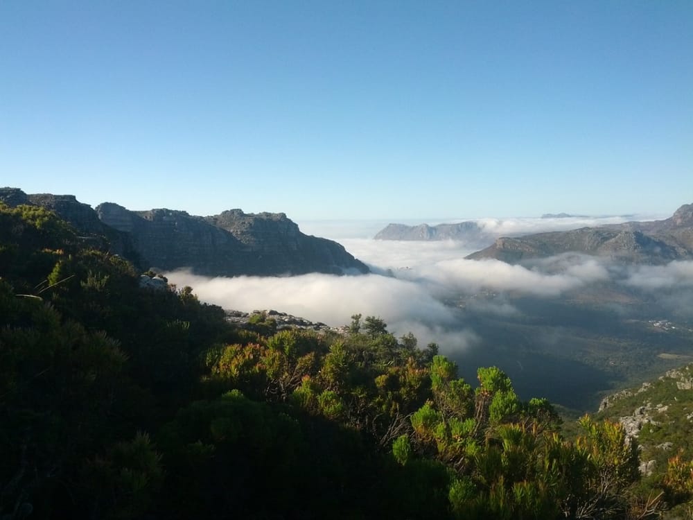 Exploring Table Mountain Nature Reserve