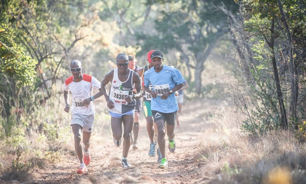 FNB Platinum Trail Run 2015 - Race Review