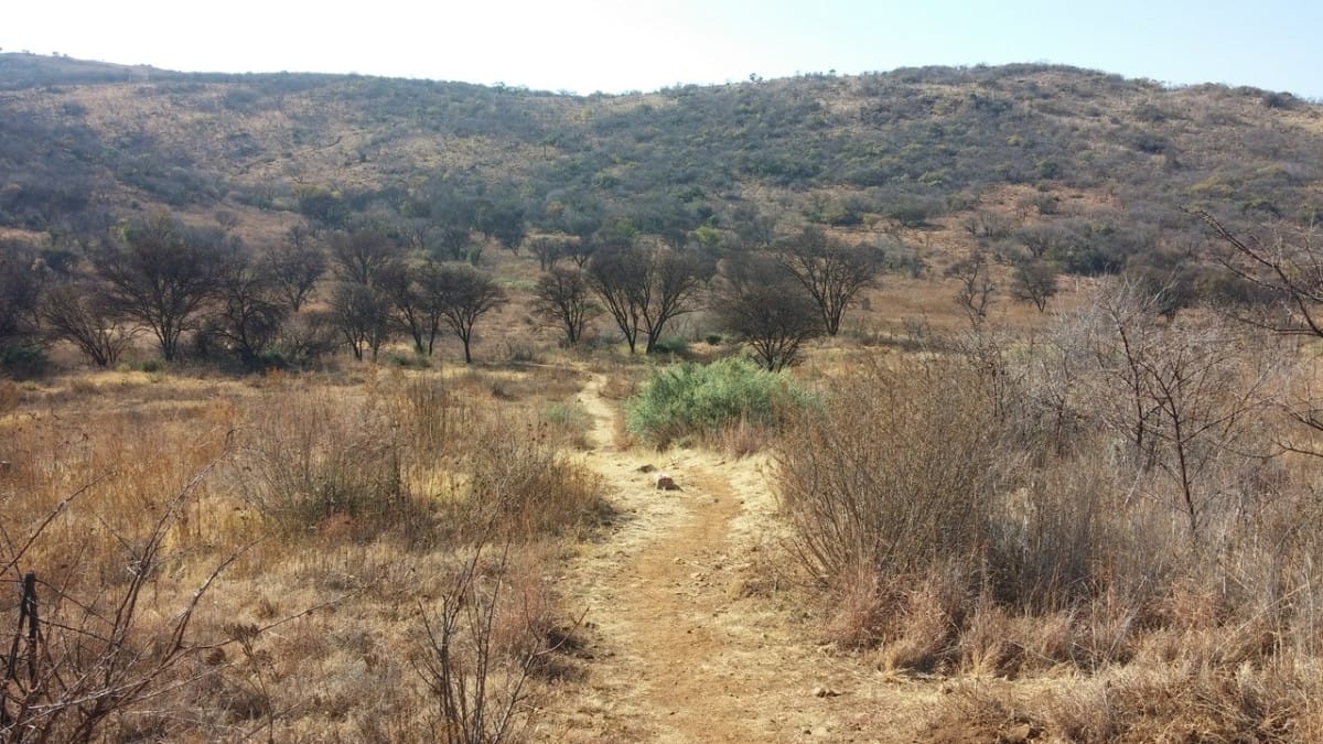 Klipriviersberg, easy Sunday morning