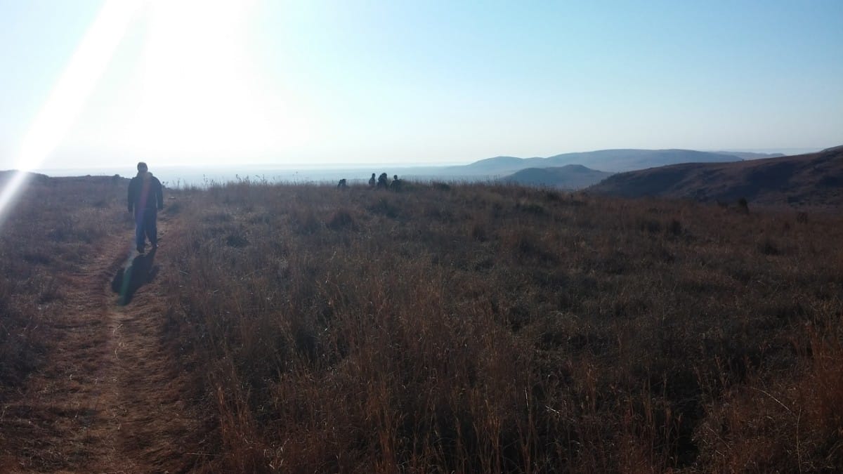 Suikerbosrand 10km Sunday