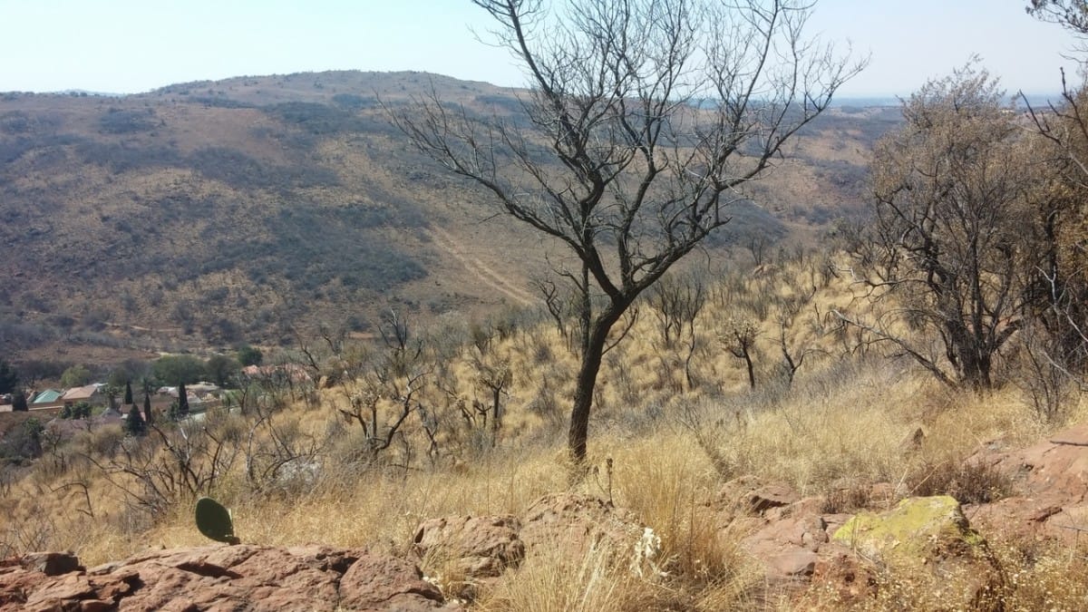 Klipriviersberg, The Long Way