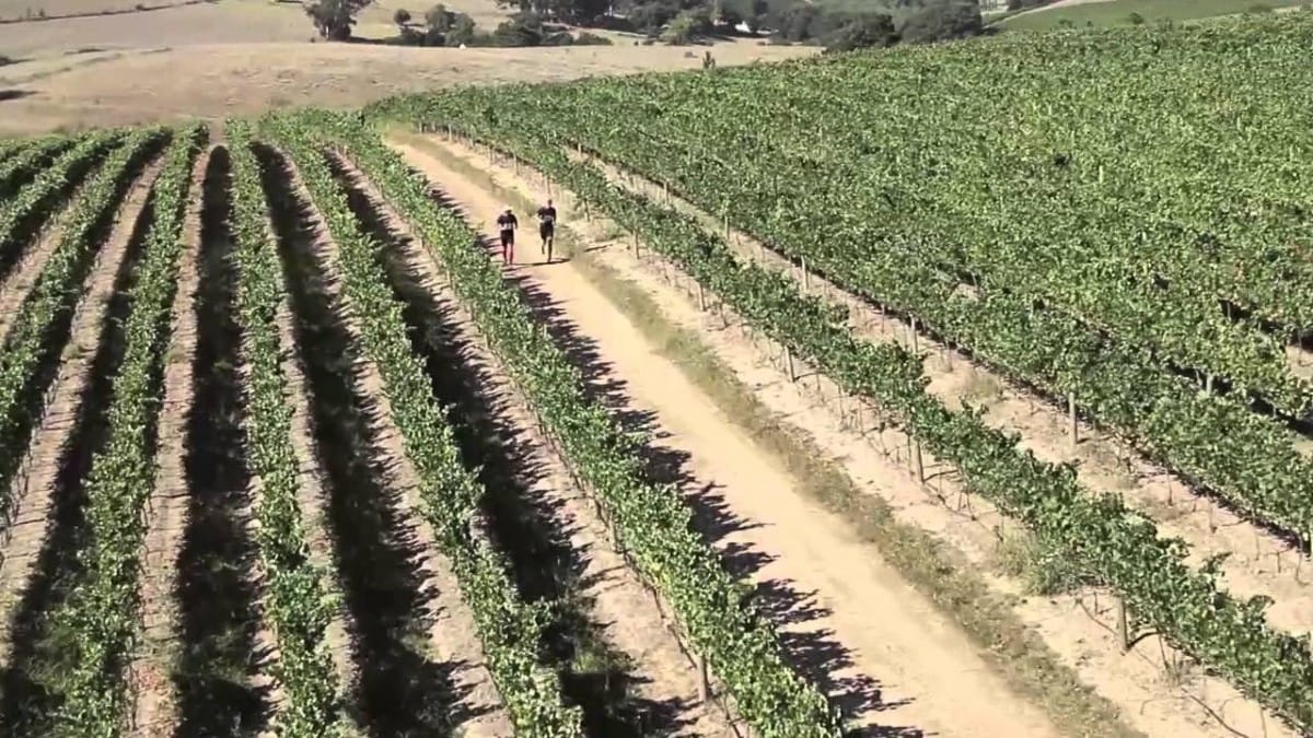 ProNutro Run The AfricanX 2015