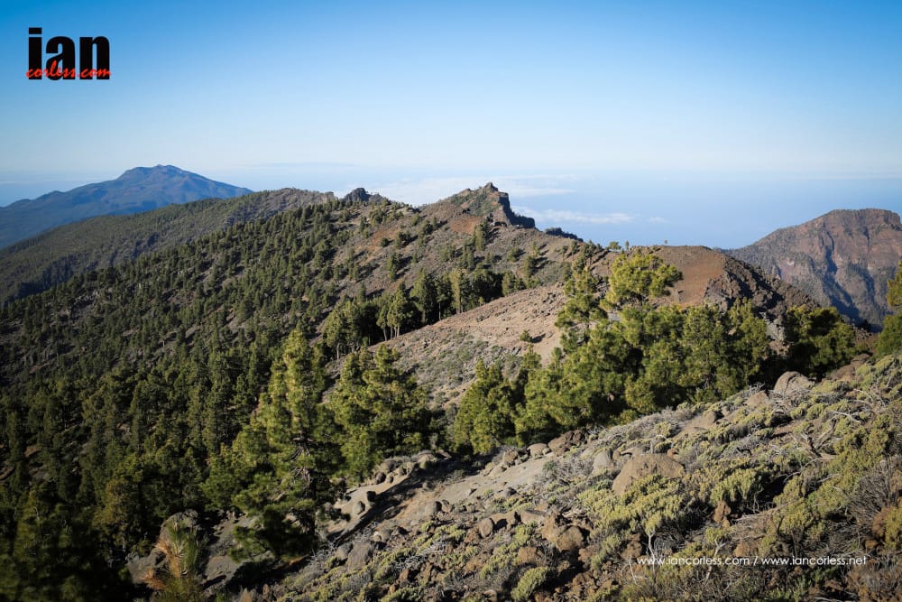 Transvulcania 2015