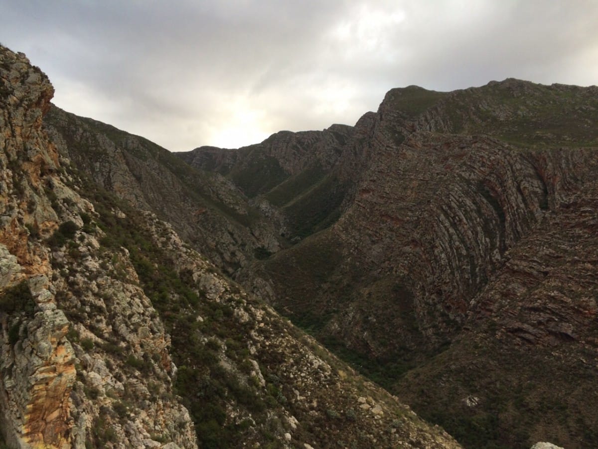 Montagu Mountain Mania