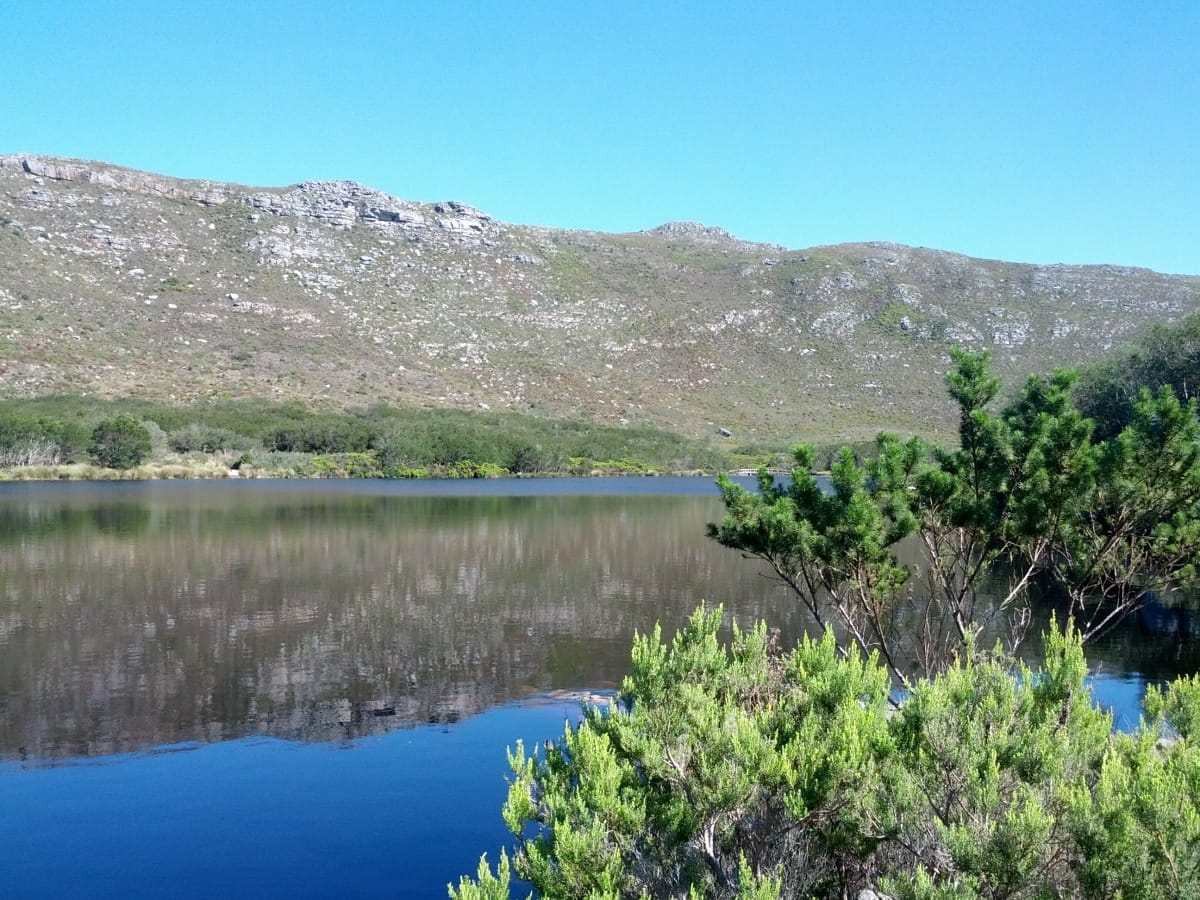 Silvermine Saturday