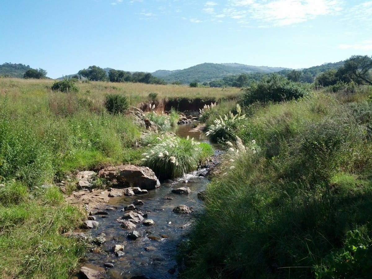 Exploring Klipriviersberg Nature Reserve