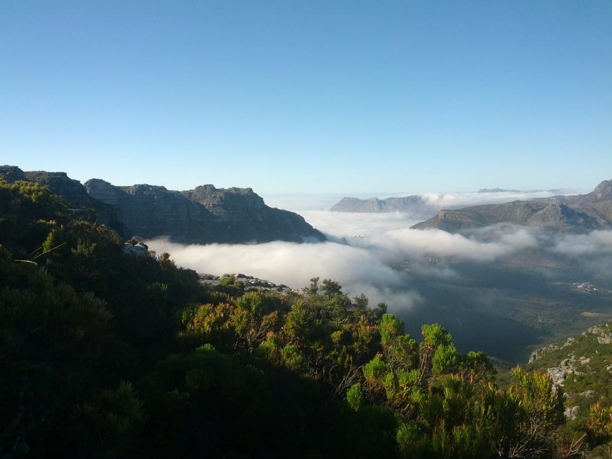 Exploring Table Mountain Nature Reserve