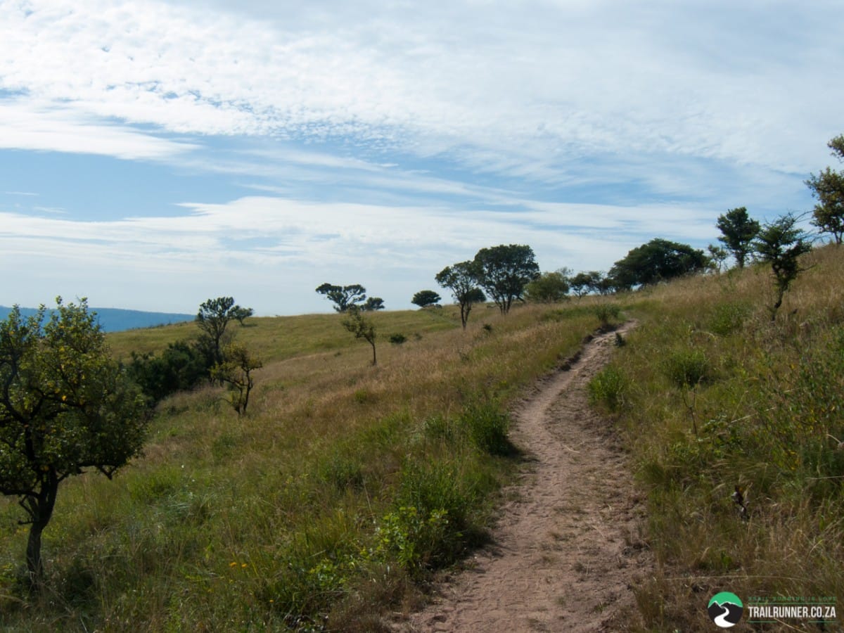Trail Races in July 2015
