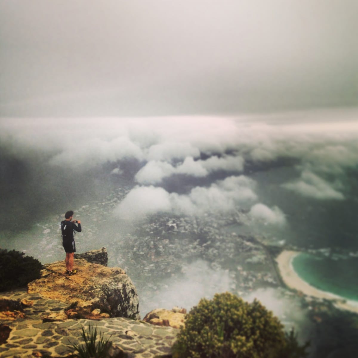 Little lions mission