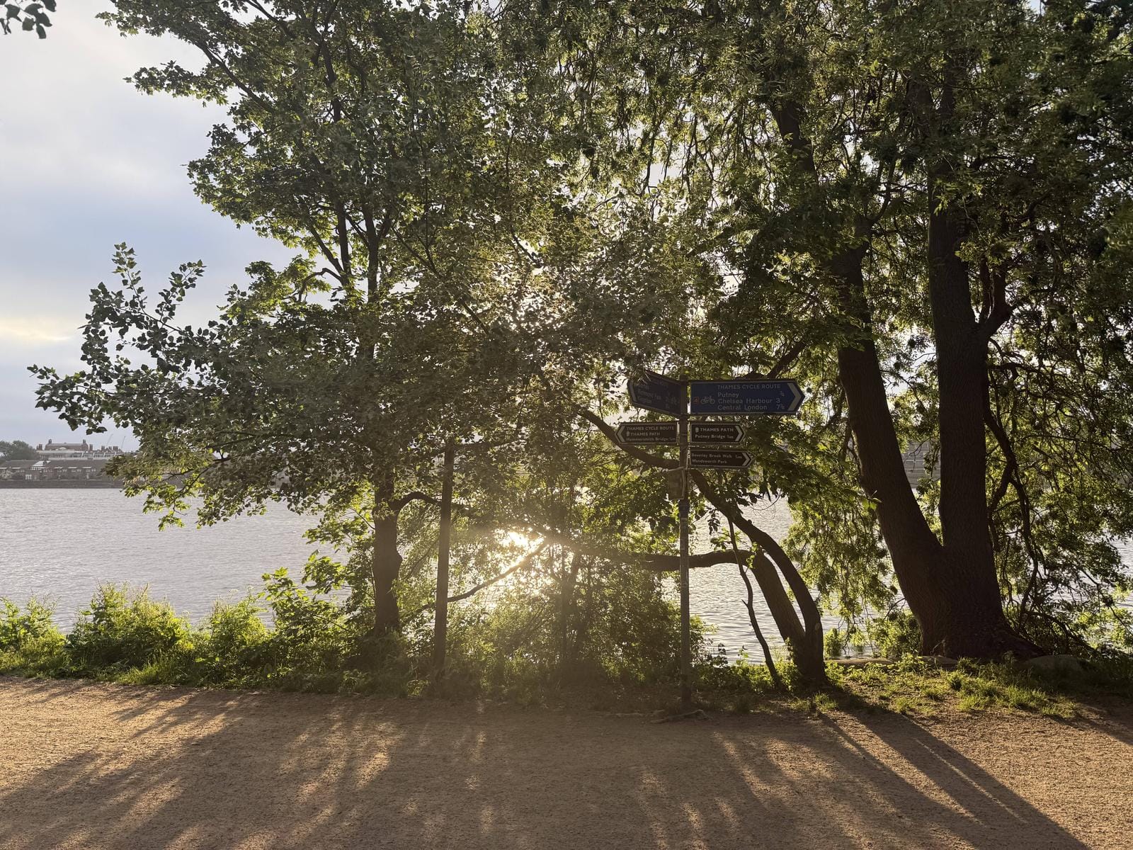 Week 5: Zone 2 Shift (70.75km)