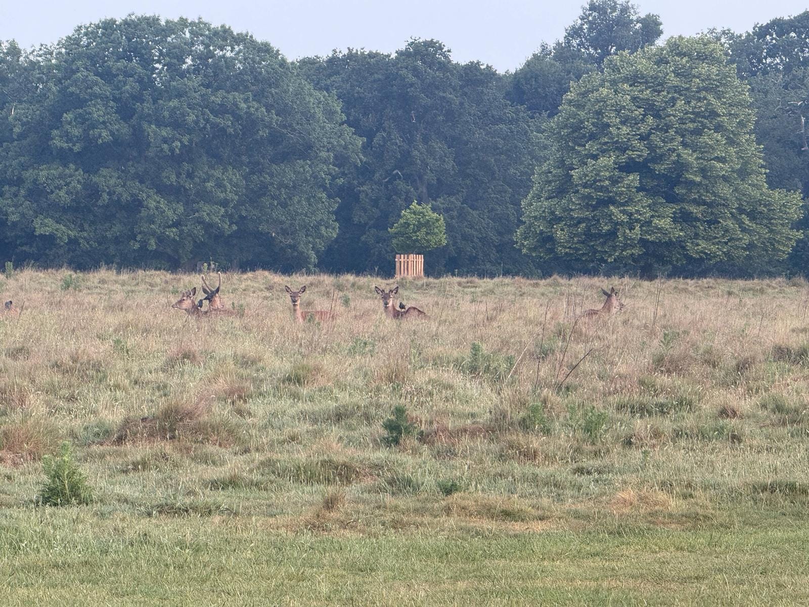 Week 7: Almost Back on Track with London’s Trails (57km)