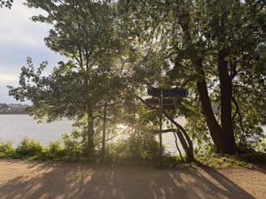 Week 5: Zone 2 Shift (70.75km)